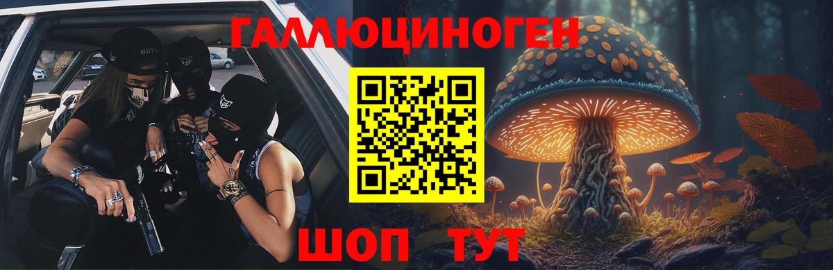 Алейск  Псилоцибиновые грибы Psilocybe  Вход с VPN  Галлюциногенные грибы Psilocybine cubensis 
